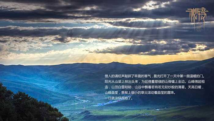 救援男孩与狗