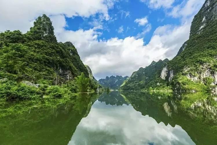 武汉公安经侦部门打防并举护航经济发展，破案数同比上升77.41%